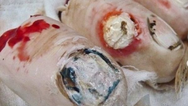 Natasha Collins, 49, began baking her gruesome designs around 12 years ago (Twitter)