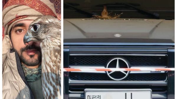 الشيخ حمدان