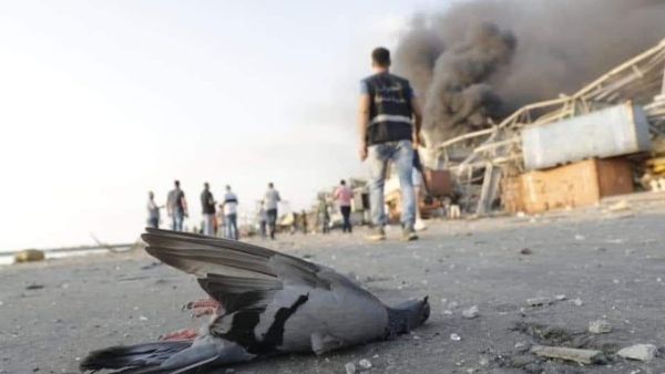 Beirut, Lebanon (Twitter)