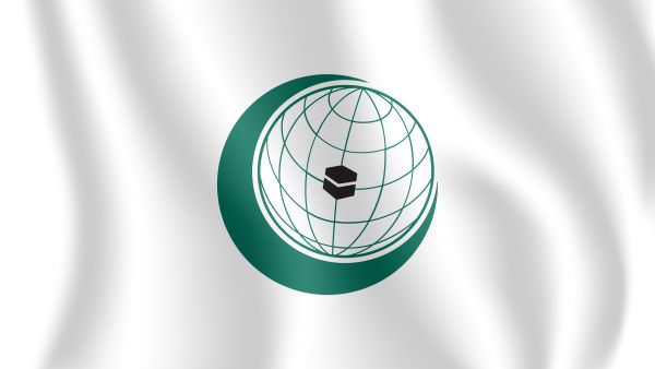 Flag of the Organization of Islamic Cooperation. (Shutterstock/ File Photo)