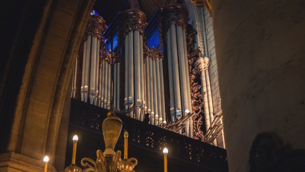 Pipe organ of Notre Dame Cathedral  (Shutterstock)	