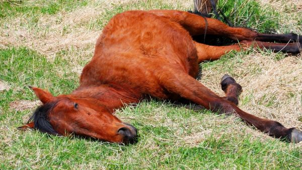 (Shutterstock/ File Photo)