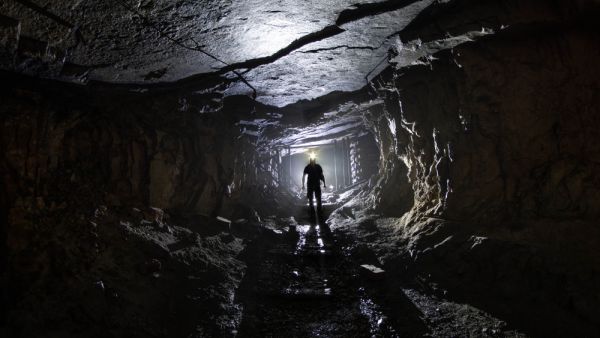 (Shutterstock/ File Photo)