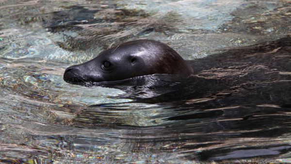 (Shutterstock/ File Photo)