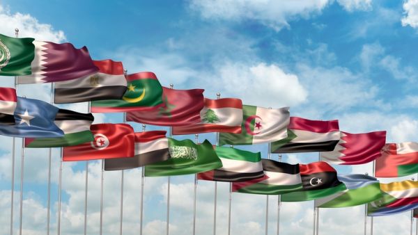 The national flags of the 22 countries member states of the Arab League oranization  (Shutterstock)	