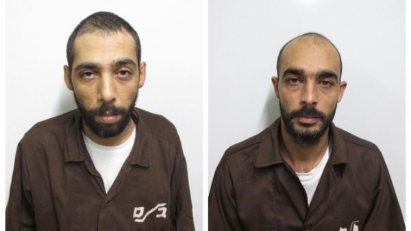 أحمد ومحمود مقداد