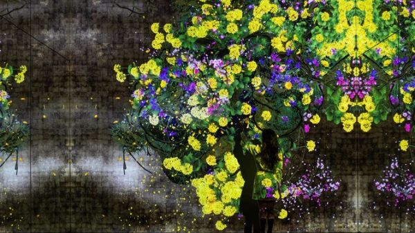 Japan’s TeamLab looks to explore the world “beyond borders,” merging both arts and technology to create their Borderless exhibitions around the world. (Via TeamLab/Supplied)