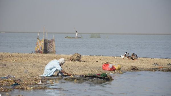 Country's largest freshwater lake, Manchar lake (Twitter)
