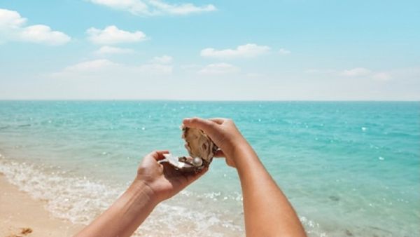 حملة العروض الصيفية الخاصة بالعطلات القصيرة التي أطلقتها إمارة رأس الخيمة تعزز حجوزات الفنادق في الإمارة لتصل لأكثر من 15000 ليلة