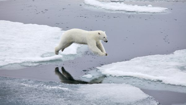 (Shutterstock/ File Photo)