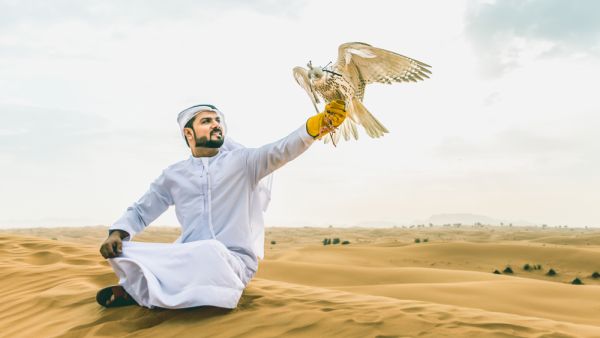 (Shutterstock/ File Photo)