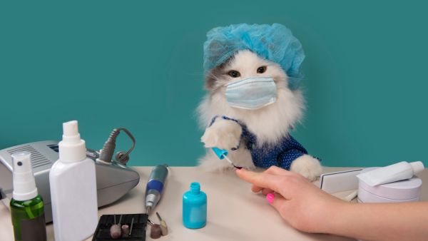 (Shutterstock/ File Photo)