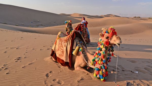  Central Iran, Dasht-e Lut  (Shutterstock)