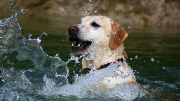 (Shutterstock/ File Photo)