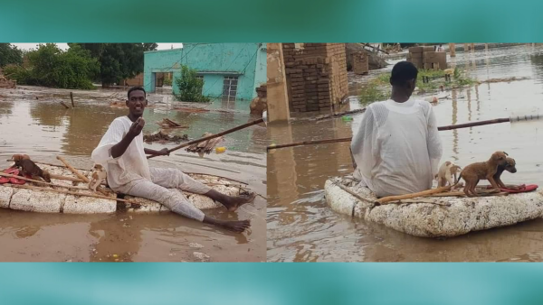 A Sudanese Hero Rescuing Puppies Amid Floods Celebrated Online
