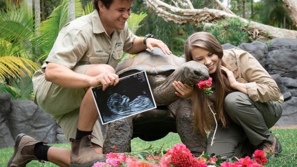 Our beautiful daughter is now about the same size as a hatchling Aldabra tortoise and is as healthy as can be. We can’t wait for her arrival next year. (Instagram)