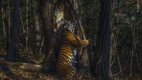 صورة العناق