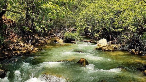 Bisri Valley (Twitter)