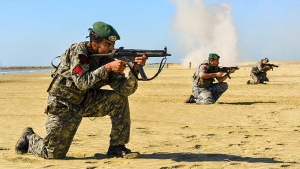 قوات ايرانية