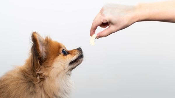 (Shutterstock/ File Photo)