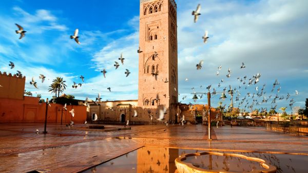 Koutoubia mosque, Marrakech, Morocco  (Shutterstock)	