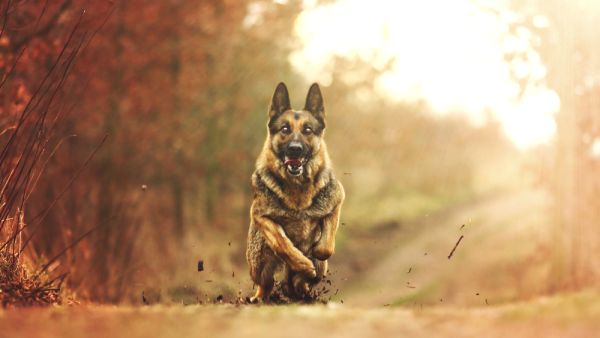 (Shutterstock/ File Photo)