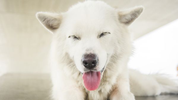 (Shutterstock/ File Photo)