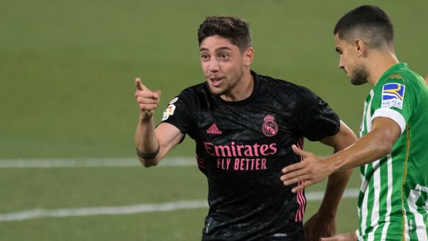 فيدي فالفيردي