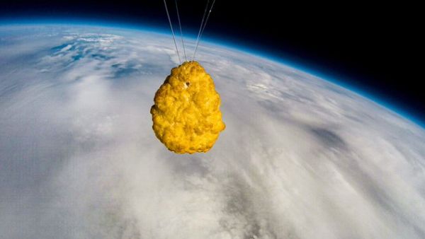 Chicken nugget sent into space for first time (Twitter)