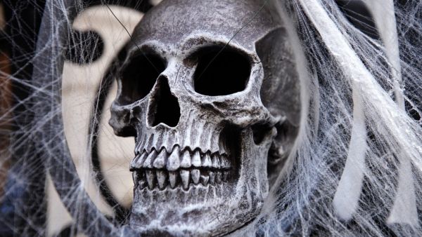 A skull and spider webs are part of a Halloween display in front of an Upper East Side home on October 30, 2020 in New York City. Many Halloween events have been canceled or adjusted with additional safety measures due to the ongoing coronavirus (COVID-19) pandemic. Cindy Ord/Getty Images/AFP