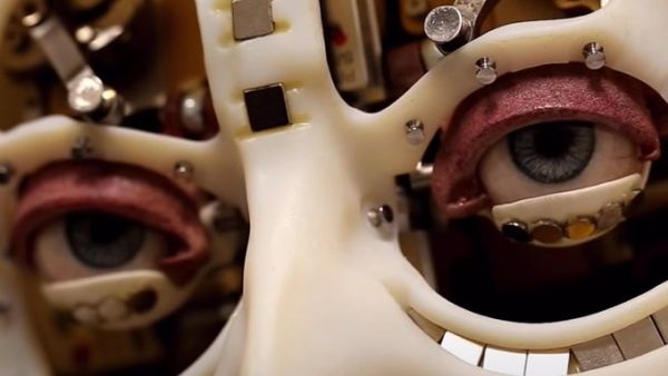 Humanoid robot (Twitter)