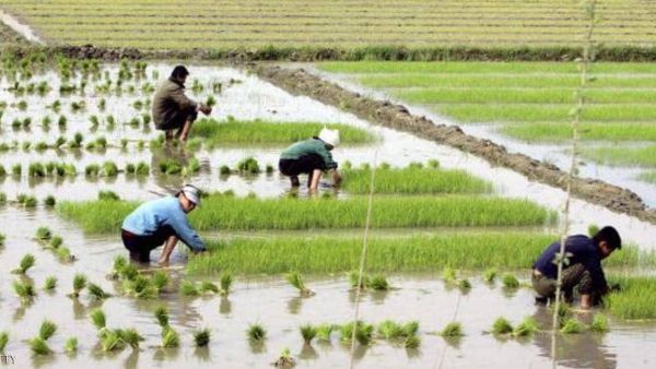 3 أعاصير متتالية في أغسطس وسبتمبر دمرت الأراضي الزراعية والمحاصيل