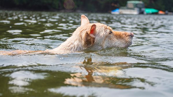 (Shutterstock/ File Photo)