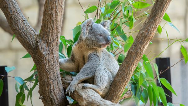 (Shutterstock/ File Photo)