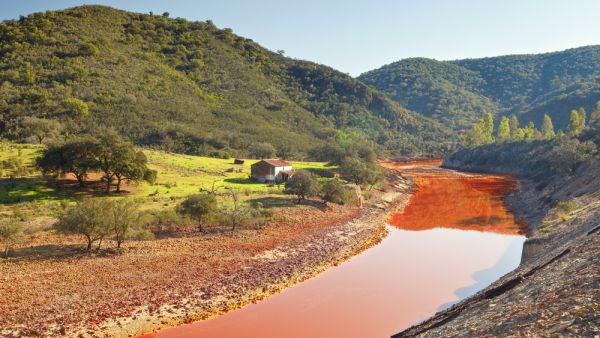 (Shutterstock/ File Photo)