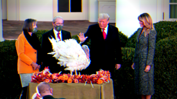 Voted for or Against Him, All Americans Are Thankful for Trump This Thanksgiving