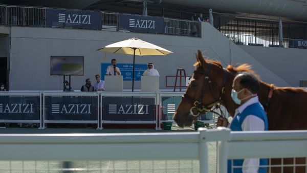 Azizi Developments Sponsors Emirates Racing Authority’s Thoroughbred Sale in Meydan