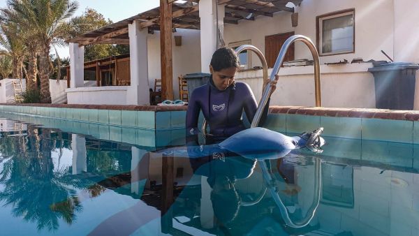 Jeddah Freediving School. (Facebook)