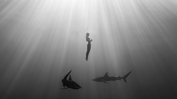 Belgian model Marisa Papen, 28, has shared dreamlike images of her diving naked with sharks, saying she wanted to challenge taboos around both nudity and sharks. (Earth Family/Real)
