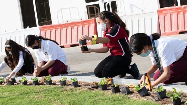 Educating the Next Generation of Changemakers on Sustainability