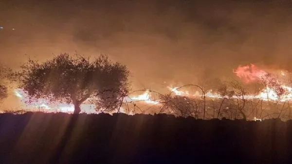 القبض على 39 شخصا نفذوا الحرائق التي شهدتها 3 محافظات سورية