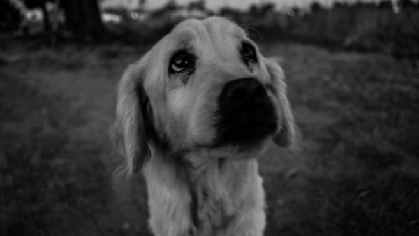 (Shutterstock/ File Photo)