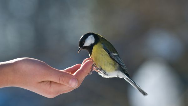  (Shutterstock)	