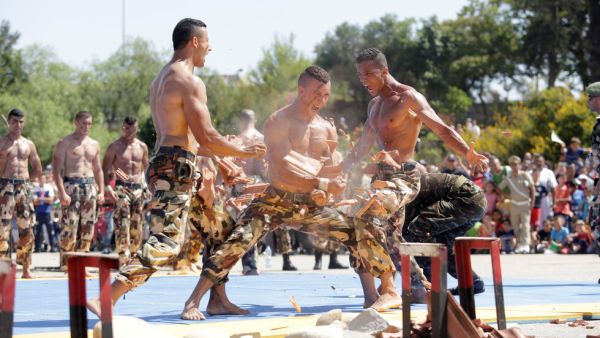 قائد هيئة أركان الجيش الجزائري: "كافة المخططات المعادية" و"المناورات الخسيسة" ستفشل اليوم وغدا