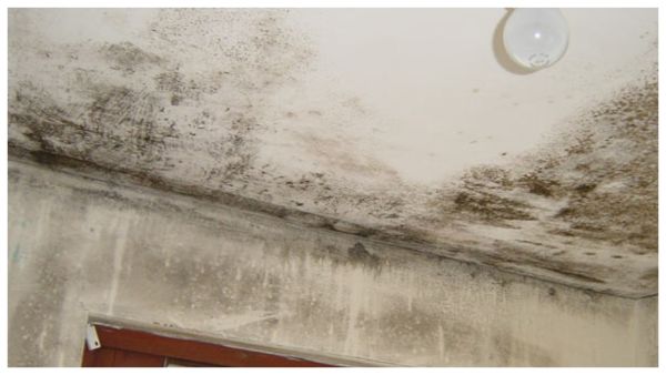 غلي الغلاية عند الحاجة فقط