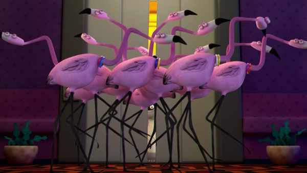 Yunus Emre Institute to organize Cut Short, Live Long Online Film Festival (Twitter)