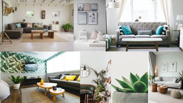 أسرار فنغ شوي: الألوان والأثاث والنباتات والتلفاز 