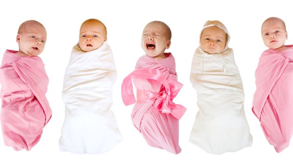 (Shutterstock)