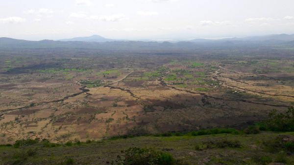 The company will deliver 29 SG 3.4-132 wind turbines to state-owned utility Ethiopian Electric Power (EEP) for the Assela project Siemens Gamesa seals its first wind farm project in Ethiopia, expanding its leadership in Africa