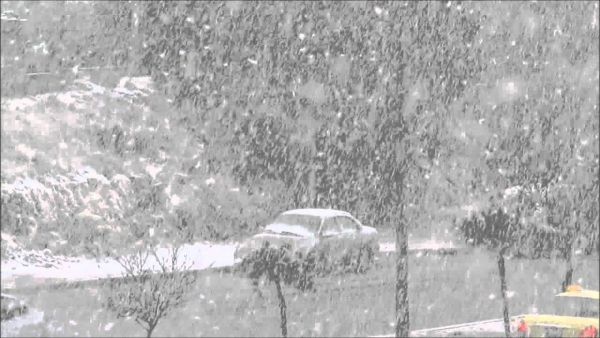  فرق البحث والإنقاذ وشرطة البادية الملكية، عثرت على الجثث، من خلال البحث في المنطقة وتمشيطها.